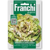 Cikoriasallad "Variegato di Castelfranco"