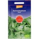 De Bolster Kopfsalat 