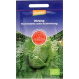 Savoy Cabbage "Blumendahls Gelber Butterwirsing"