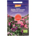 De Bolster Gefüllte Sommeraster - 1 g