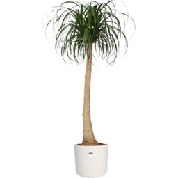 Sada kvetináčov b.for soft round white (14 cm, 16 cm, 18 cm) - 1 sada