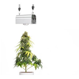 Venso LED lampa pre rastliny CANNA BULB  - 150 W
