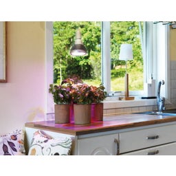 Venso E27 Plantenlamp 