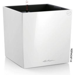 Lechuza Vaso - CUBE Premium 50 - bianco lucido