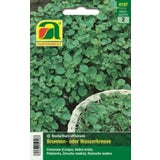 AUSTROSAAT Watercress