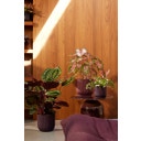 elho the winery collection 18 cm - bordeauxrot