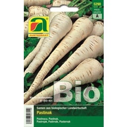 AUSTROSAAT Pastinaca Bio 