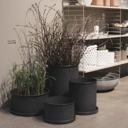 DBKD PLANT BOWL, 2 seta - black