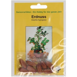 TROPICA Pinda - 8 Korrels