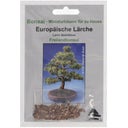 TROPICA Europäische Lärche - 2 g
