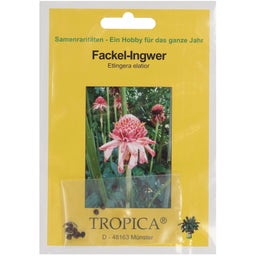 TROPICA Rose de Porcelaine - 10 Graines