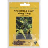 TROPICA Chanel No. 5 Baum