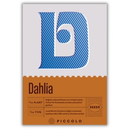Piccolo Seeds D - Dahlia Mignon