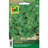 AUSTROSAAT Peppermint