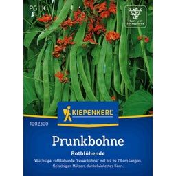Kiepenkerl Rosenböna 