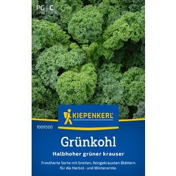 Kiepenkerl Grünkohl - Halbhoher grüner Krauser - 1 Pkg