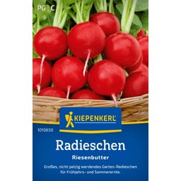 Kiepenkerl Ravanello - Riesenbutter - 1 conf.