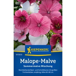 Kiepenkerl Mélange de Malopes d'Été - 1 sachet