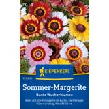 Kiepenkerl Margherita Carinata - Bunte Wucherblumen