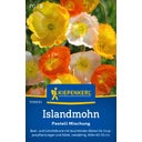 Kiepenkerl Iceland Poppy 