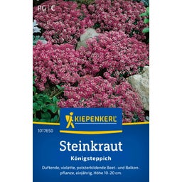 Kiepenkerl Steinkraut 