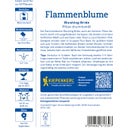 Kiepenkerl Phlox Annuel 