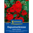 Kiepenkerl Indiankrasse 