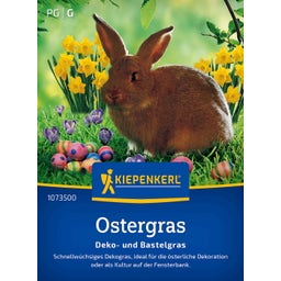 Kiepenkerl Veľkonočná tráva - 1 bal.