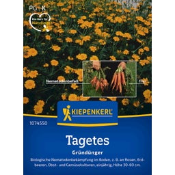 Kiepenkerl Tagete - Single Gold - 1 conf.