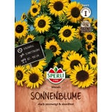 Sperli Tournesol Bio