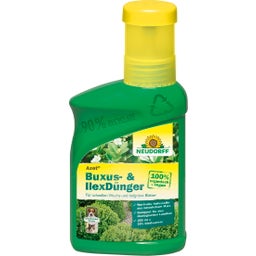 Neudorff Azet - Abono para Boj y Acebo - 250 ml