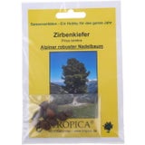 TROPICA Zirbenkiefer