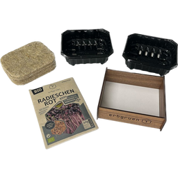 erbgruen Kit de Culture Microgreens