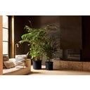 elho june tulip Planter 40 cm - Black