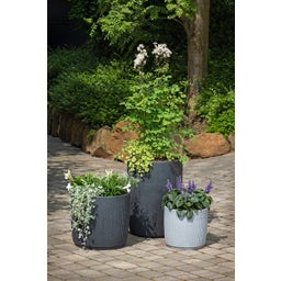 Scheurich Pflanzgefäß Linetto - Stony Black - 47