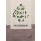 Naturkraftwerk Your Christmas Tree - Nordmann Fir Seeds