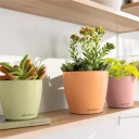 Lechuza Jardinière CLASSICO Color 12 DECO - papaya