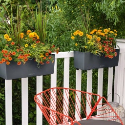 Lechuza Jardinière Balconera Color 40