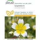Saflax Spiegeleiblume - 1 Pkg
