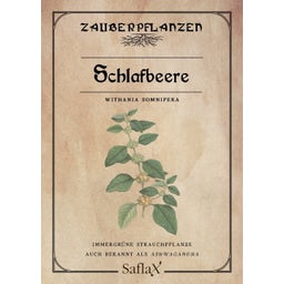 Saflax Ginseng Indiano - 1 conf.