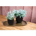 Capi Vaso Indoor Ball - Groove - 13x12 cm - Nero