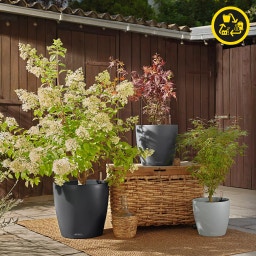 Lechuza Pflanzgefäß CLASSICO Color 28