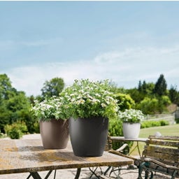 Lechuza Pot CLASSICO Color 21