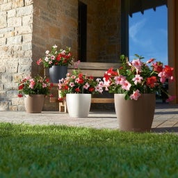 Lechuza Pot CLASSICO Color 21