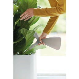 elho plunge Watering Can - Ocre