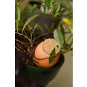 Pepin Mini-Ollas Trio - 2 terracotta + 1 speckled white