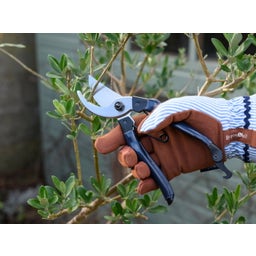 Burgon & Ball Bypass Gartenschere 