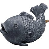 Oase Getto d'Acqua - Pesce