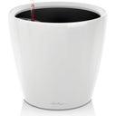 Macetero CLASSICO Premium 21 LS, Blanco brillante