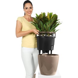 Lechuza Macetero CLASSICO Premium 50 LS